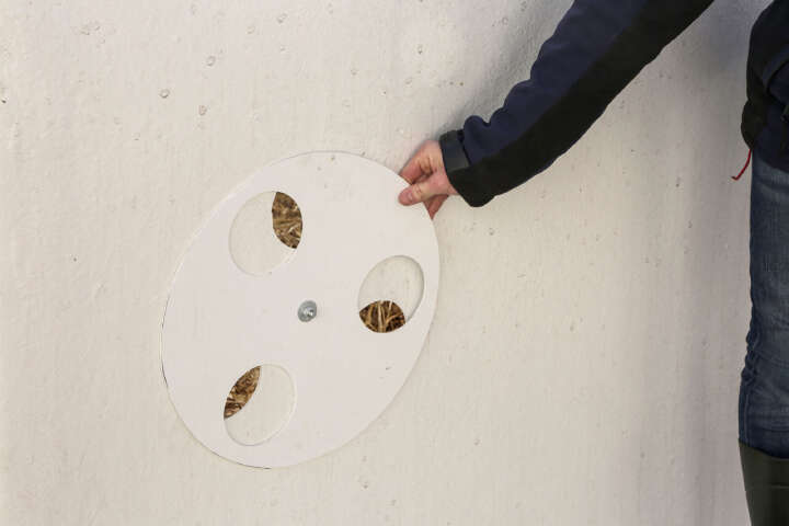 KERBL Hütte CalfHouse Premium XXL ohne Umzäunung